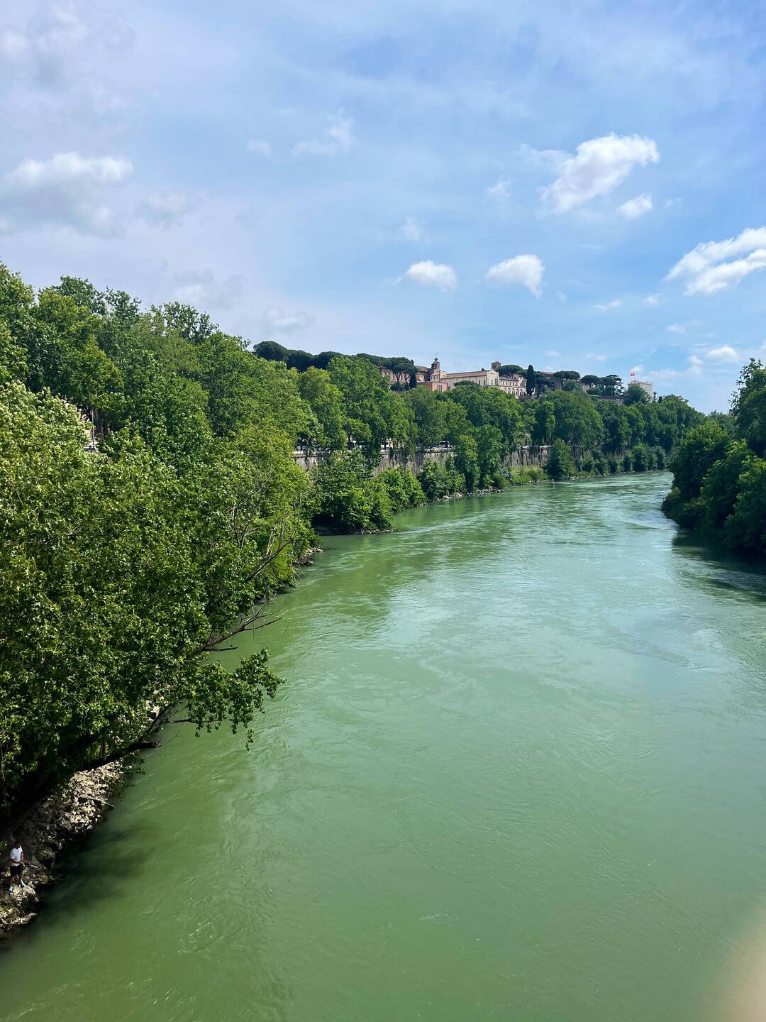 Ponte Palatino