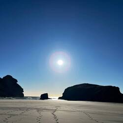 Wharariki Beach