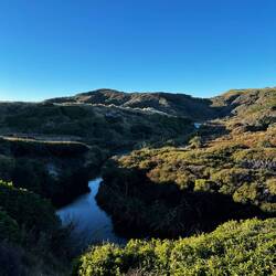 In the hike to Wharariki Beach