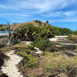 Yaromo Island