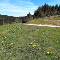 Rastplatz am Bauernkopf 949 m Höhe