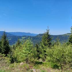Neuer Höhenweg