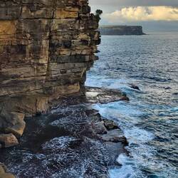 Küste in Watsons Bay