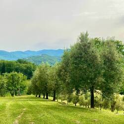 ... Blick. Delfino soll es ja auch nett haben.