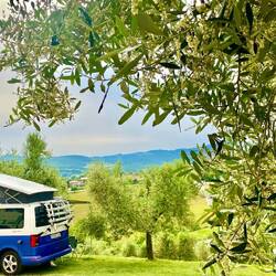 Campingplatz mit ...