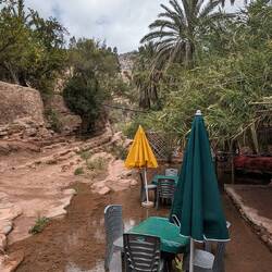 Paradise Valley