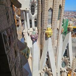 Love, joy, peace, forbearance, kindness, goodness, faithfulness, gentleness, and self-control