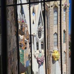 The fruits represent the gifts of the Holy Spirit