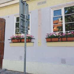 The different levels of flooding marked on the wall. In 2002 they had a flood that marked at 7mtrs