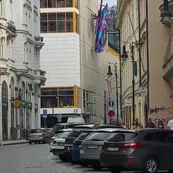 The Spitfire Butterfly