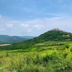 Motovun - da müssen wir noch hoch!