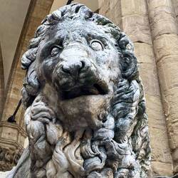 Lion outside the palace of Florence, now the town hall