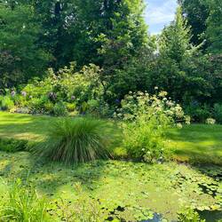Wer erkennt was Land und was Wasser ist?