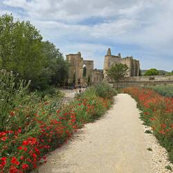 Approaching San Anton ruins