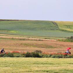 The glorious meseta landscape today!... check out the bicigreno with the red umbrella!