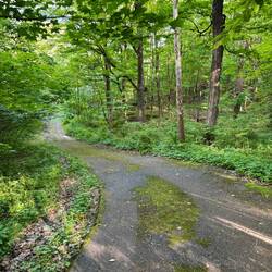 Preview of tomorrows hike