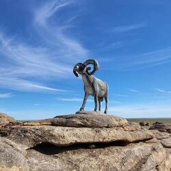 Wild-Sheep-Monument