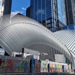 The Oculus