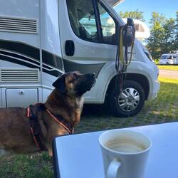 Morgenkaffee