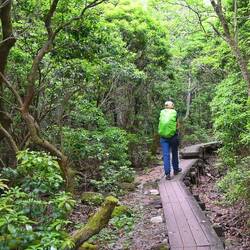 Wir lassen unsere Räder 2 Tage stehen und wandern weiter in den Aso Nationalpark.