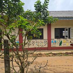 Local school... kids walking home all with same haircut/ backpack/clothes..