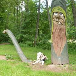 Hier geht´s zur Quelle.... sieht man doch!