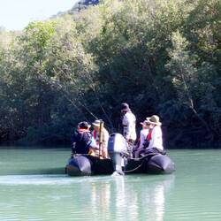 Searching for crocs and other wildlife