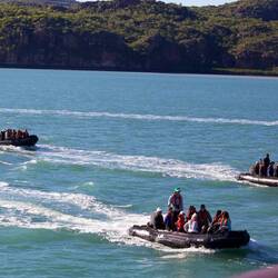 We really enjoyed our many Zodiac excursions