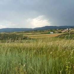 Great cloud cover saved us in the afternoon