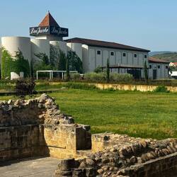 We are in wine country