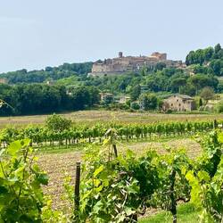 Anghiari von Ferne