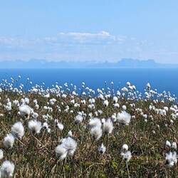 Das norwegische Festland im Hintergrund