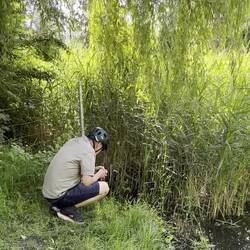 Unbedingt den Ton einschalten! Kuckuck und Frösche im Zwiegespräch 😀