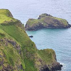 Rope Bridge