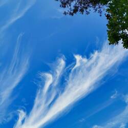 Art of nature!