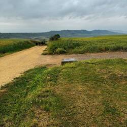 From whence we came...