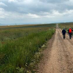 More pilgrims making the long trek