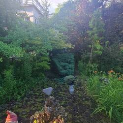 Le jardin de Mihály