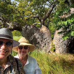 Mermaid Tree ... Careening Bay — Kimberley, WA.