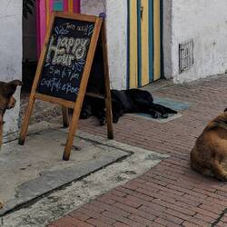 Noch 15min bis zur Happy Hour