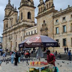 Catedral Primada de Bogotá