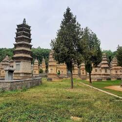 Der "Pagoda Forest" ist eine riesige Gedenkstätten mit ca. 250 steinernen Pagoden
