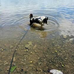Best way to cool off. Of course it was only 57 degrees