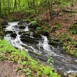 Two pretty falls today