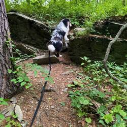 Such fun hikes !
