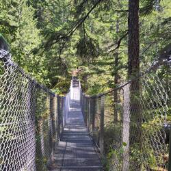 Suspension Bridge Lake Cowichan