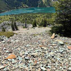 The scree (loose rock) field that we came up. There was a trail, so it looks worse than it was.