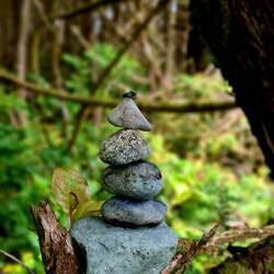 alex war wieder etwas kreativ🥰