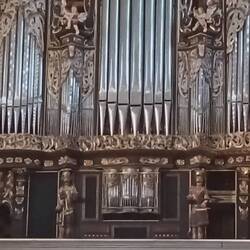 Mit 6000 Pfeifen die größte im Lande