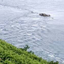 Gezeitenströmung mit stehenden Wellen